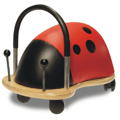 Wheelybug large ladybird