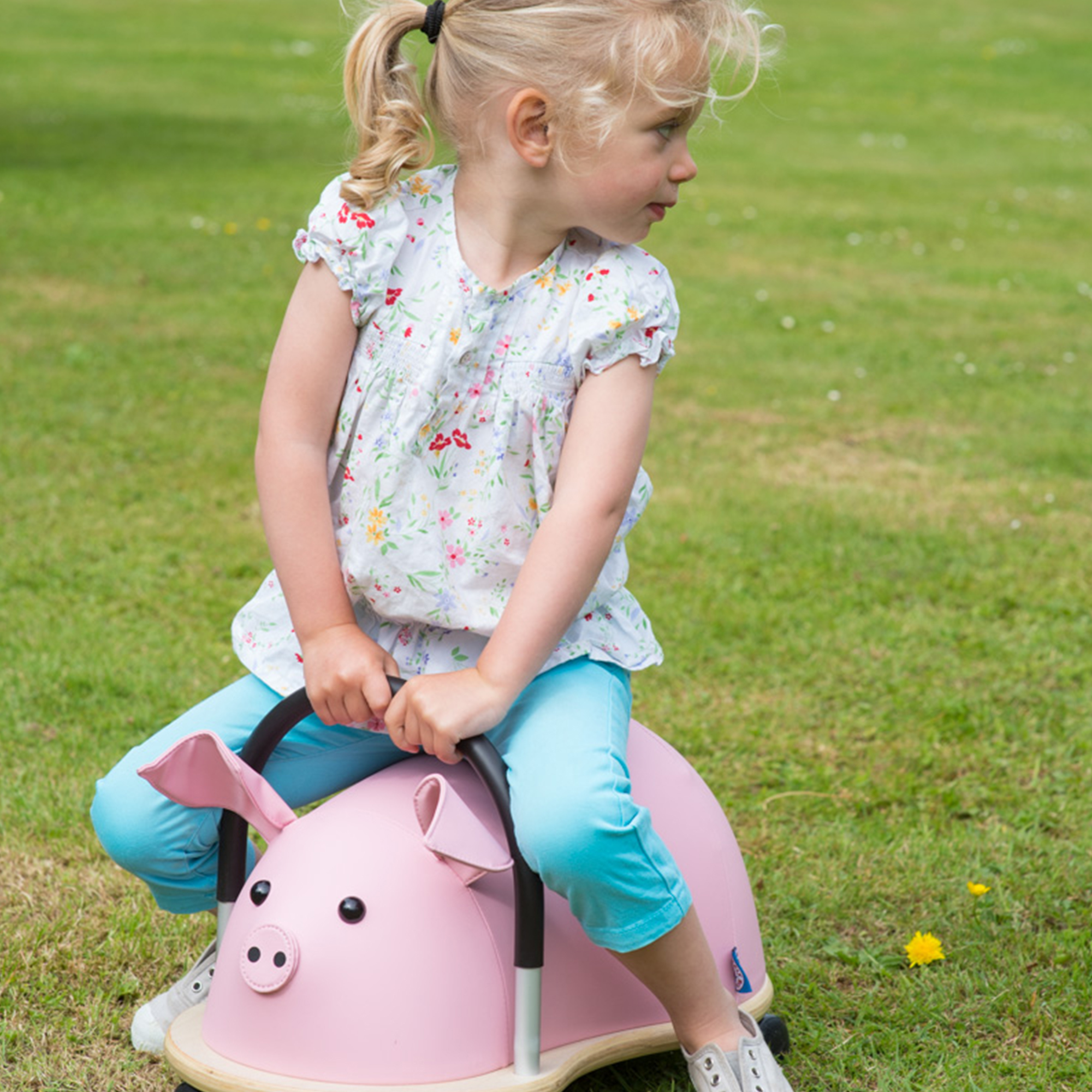 Wheelybug Large Pig - Baby and Child Store