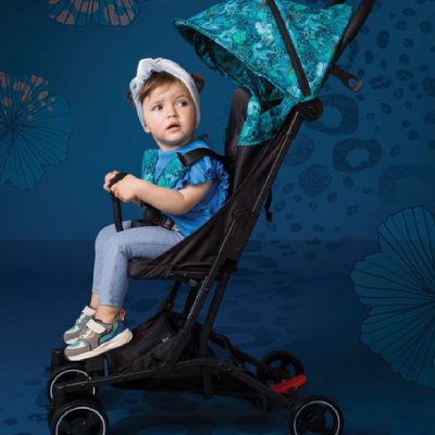 Bizzi Growin Hummingbird Compact Stroller