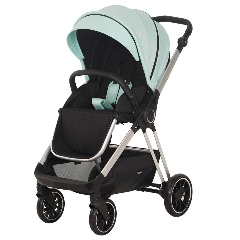 My 2024 billie pushchair