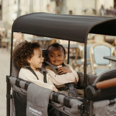 Wonderfold W4 Luxe Stroller Wagon Grey