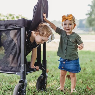 Wonderfold W2 Original Jet Black Stroller Wagon