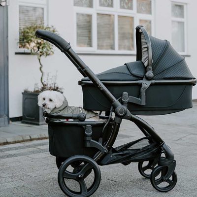 Egg Basket/Pet Basket