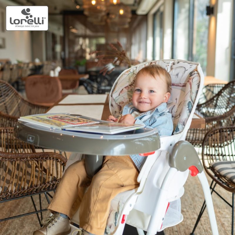 Lorelli Dulce Highchair - Grey